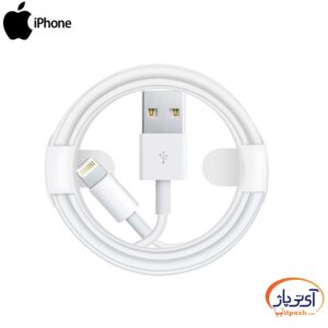 iPhone Xs Max Cable min در آی تی پاژ