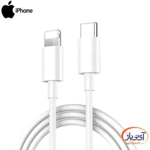 iPhone 11 12 Type C to Lightning min در آی تی پاژ