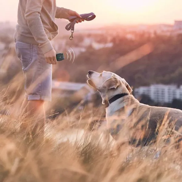 گجت آموزشی و بازدارندگی سگ Ultrasonic Pet Shield 9 2 smart crop c0 5 0 5 750x750 70 در آی تی پاژ